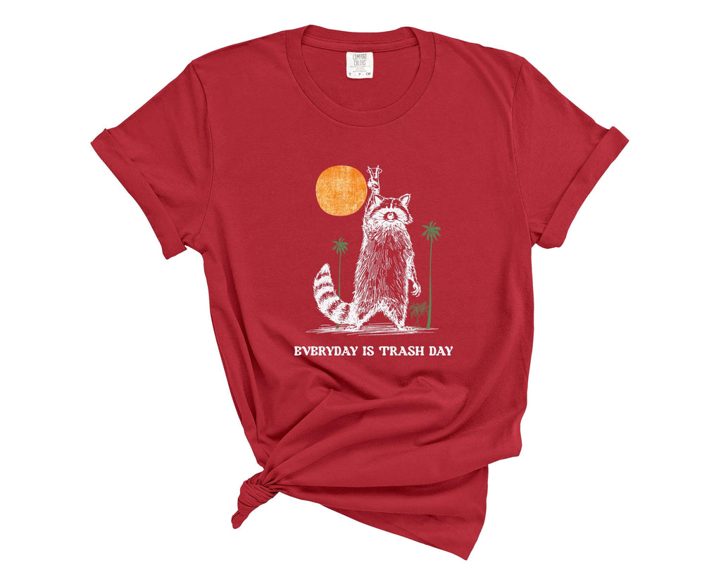 Comfort Colors Raccoon T-Shirt: Retro "Trash Day" Graphic Tee
